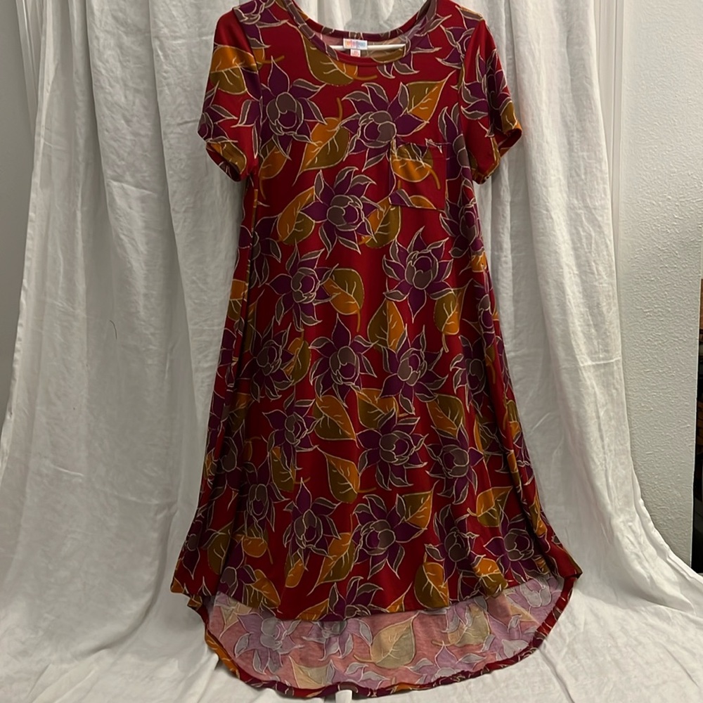 Lularoe Carly dress - multi color flowers on red back ground